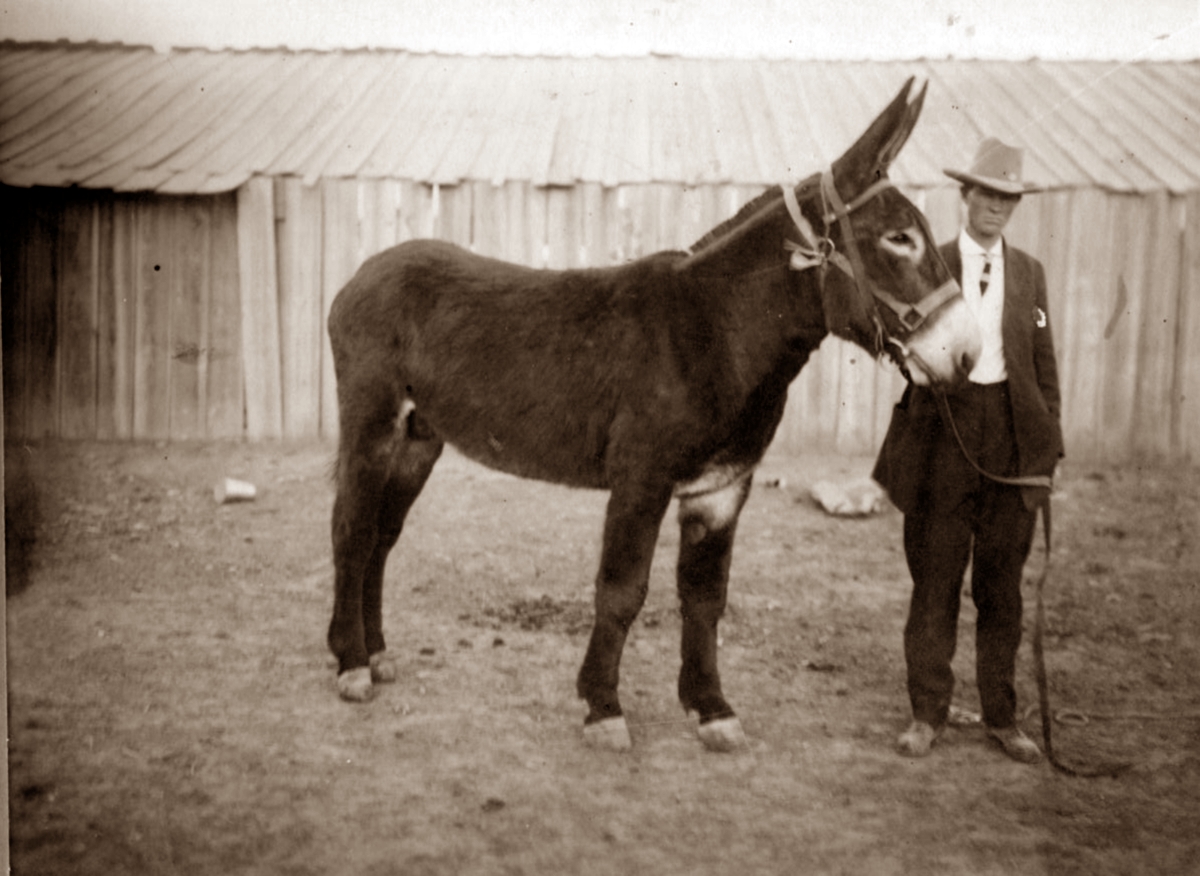 Jim Harper with his prize Jack