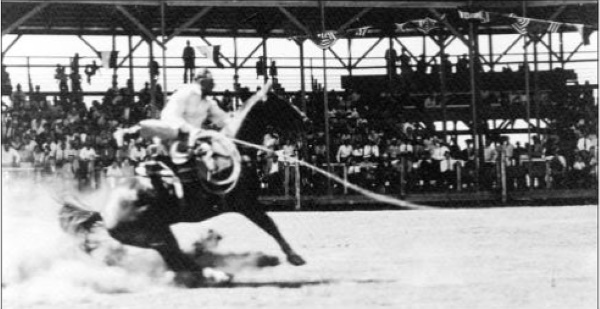 Joe York on his horse Old Glory