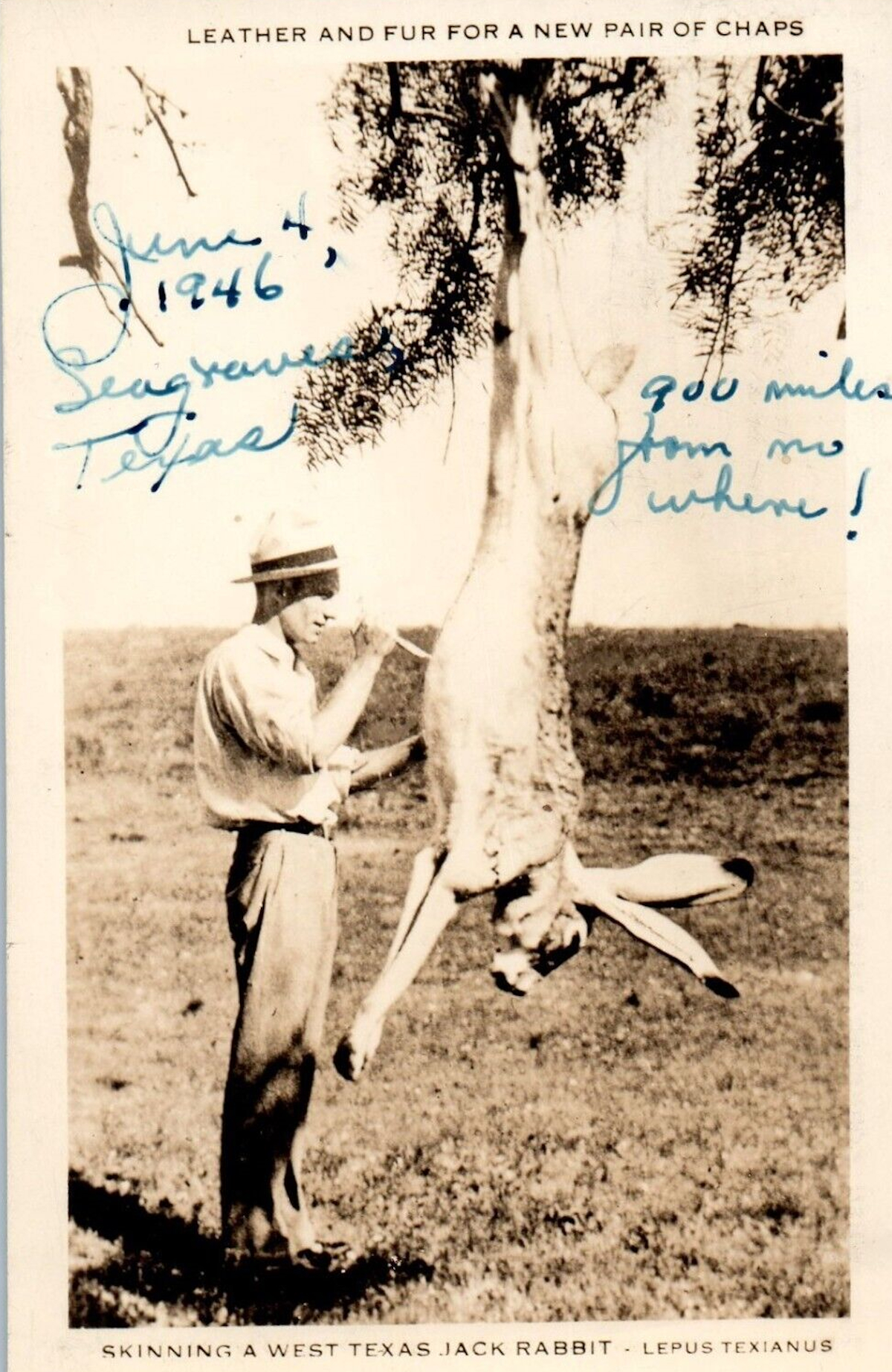 Joke Postcard from Seagraves Texas