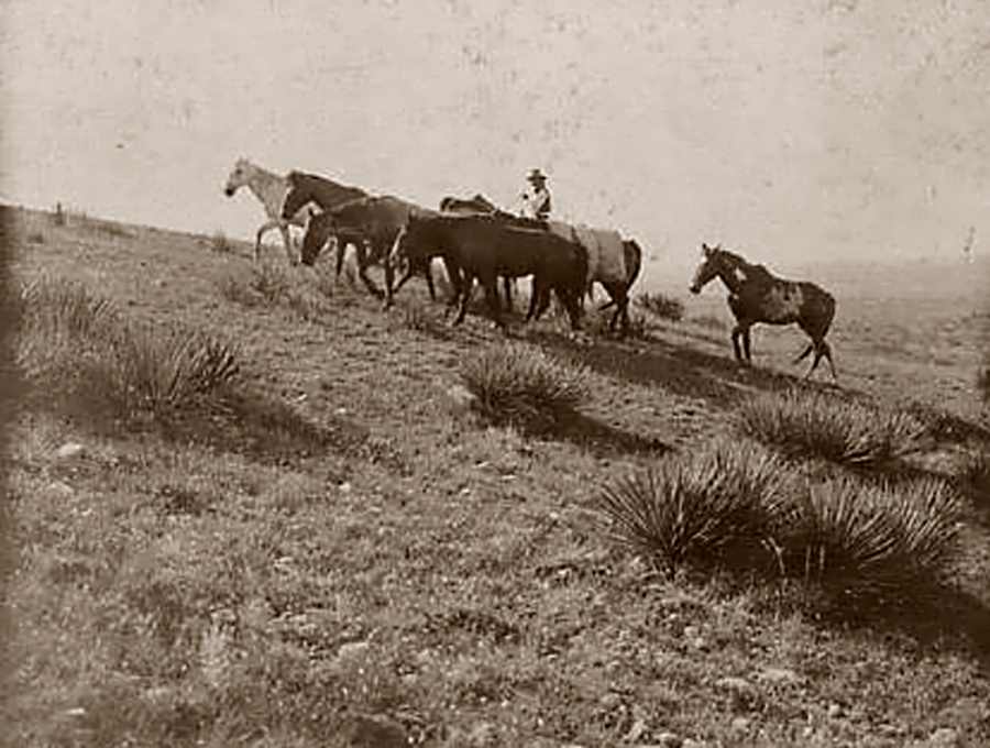 LS Ranch in Oldham County in 1907