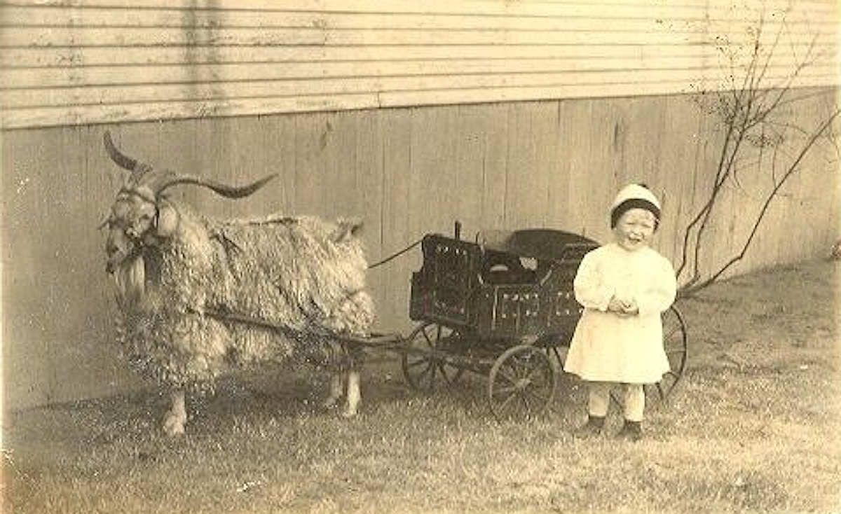 Little Girl with Goat Cart
