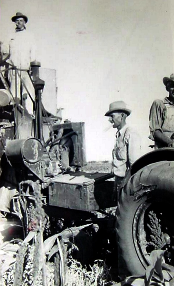 Maize Harvest in Nolan County in 1939