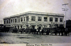 Marketing Wheat Plainview Tex 1910