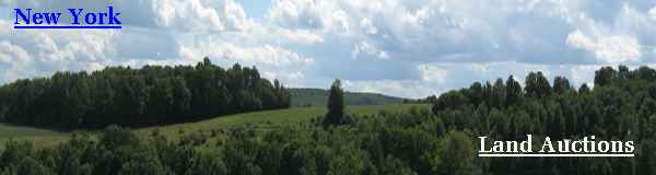New York Land Auctions