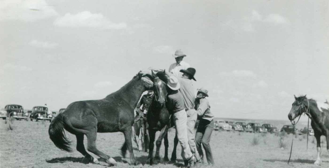 Palo Duro Rodeo - Earing Him Down