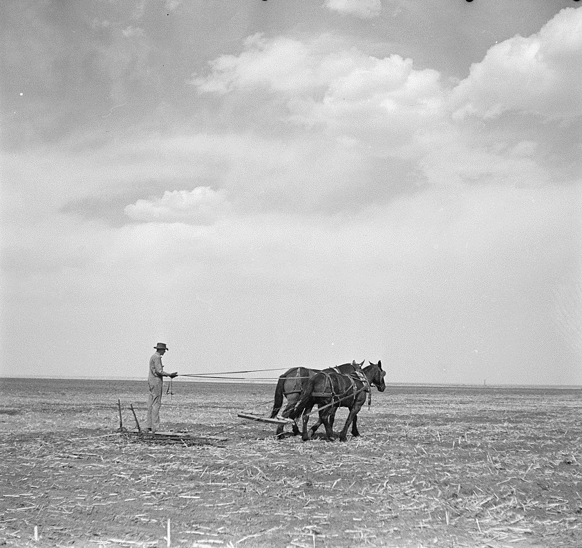 Plowing a field in Bailey County Texas in 1936