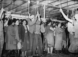 Poultry House,Brownwood Tx 1939