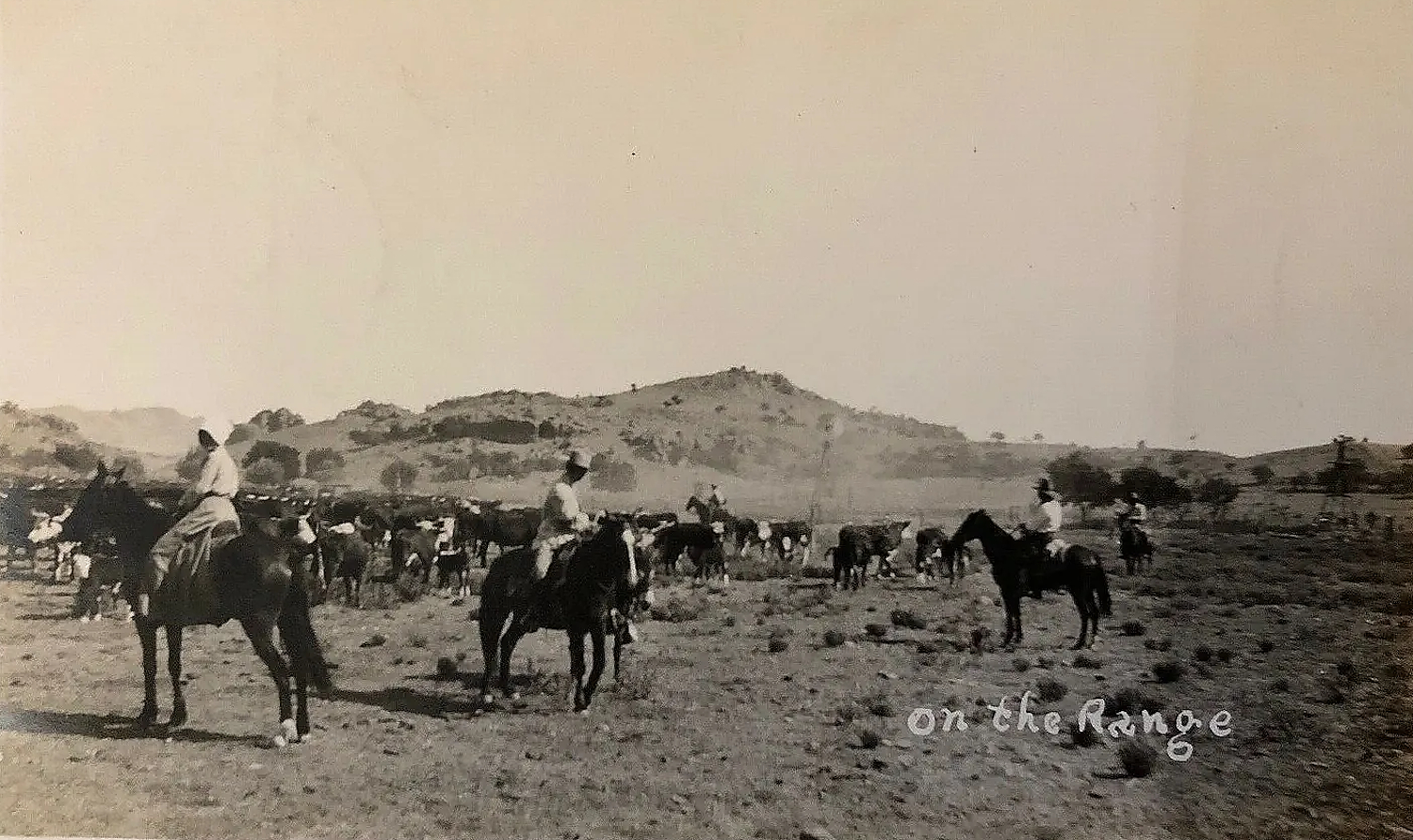 Rancher and Wife Inspect Herd