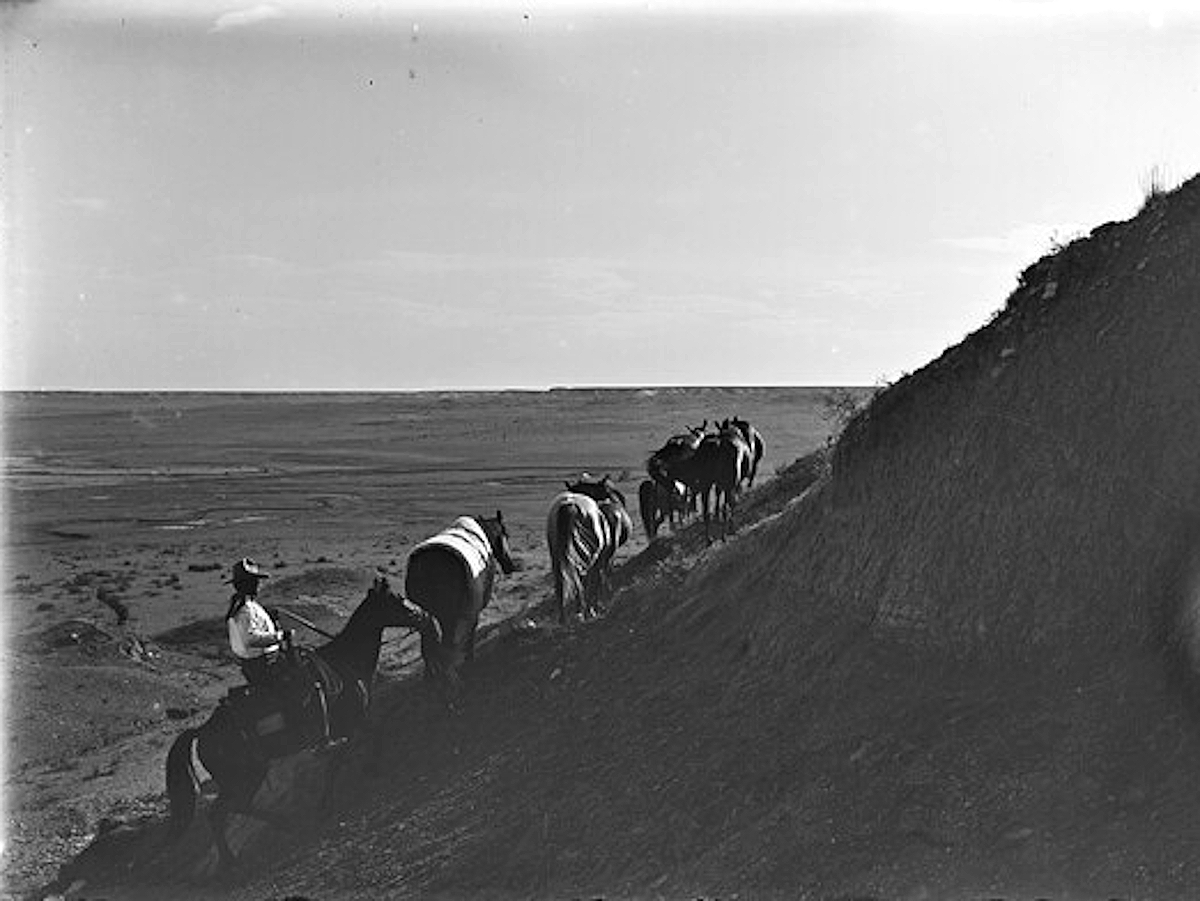 Rough Trail to Spur Range