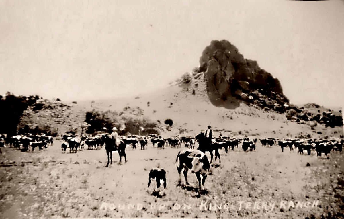 Roundup on King Terry Ranch