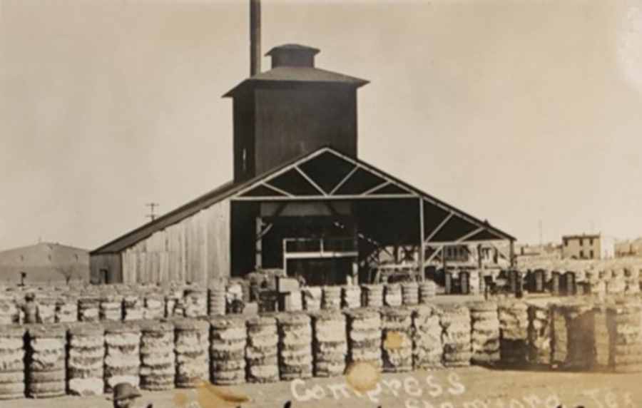 Stamford Cotton Compress