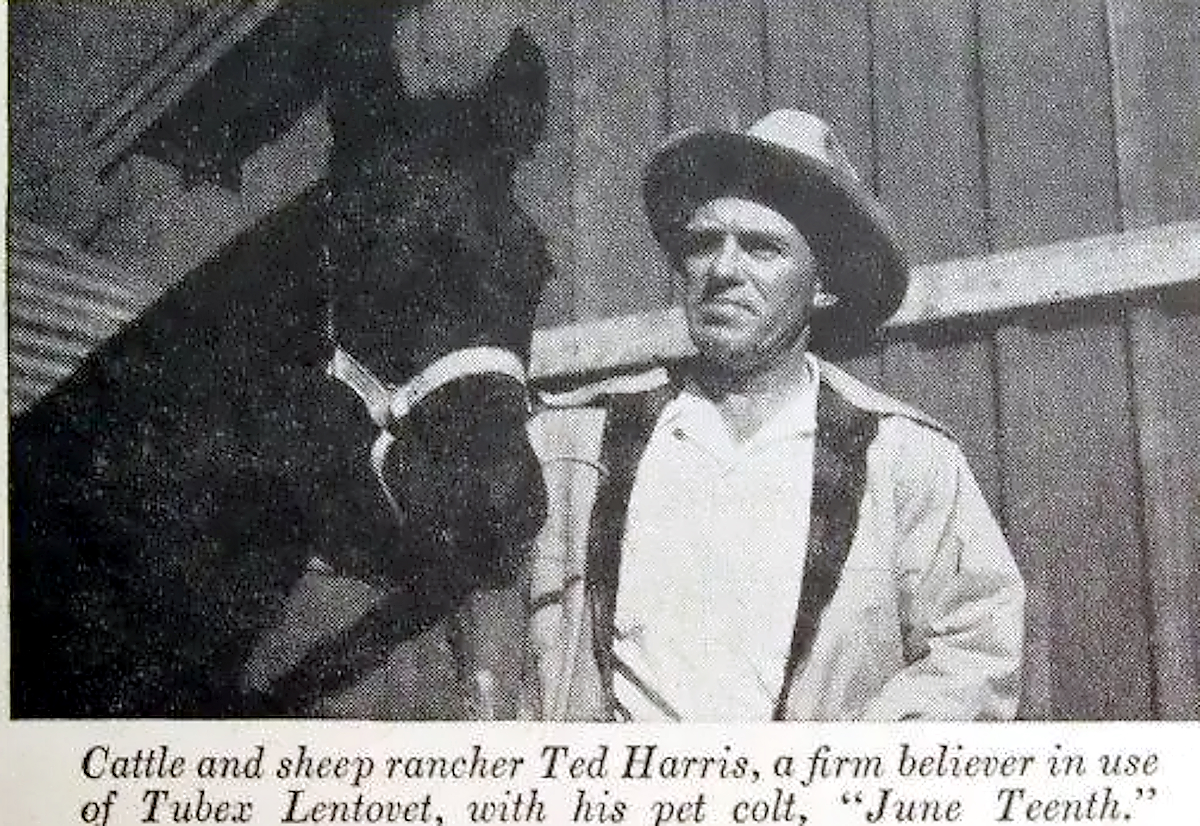 Ted Harris in 1951 Ad