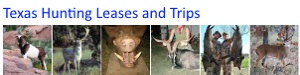 Texas Hunting 

Leases and Trips