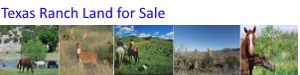 Texas Ranch Land for Sale