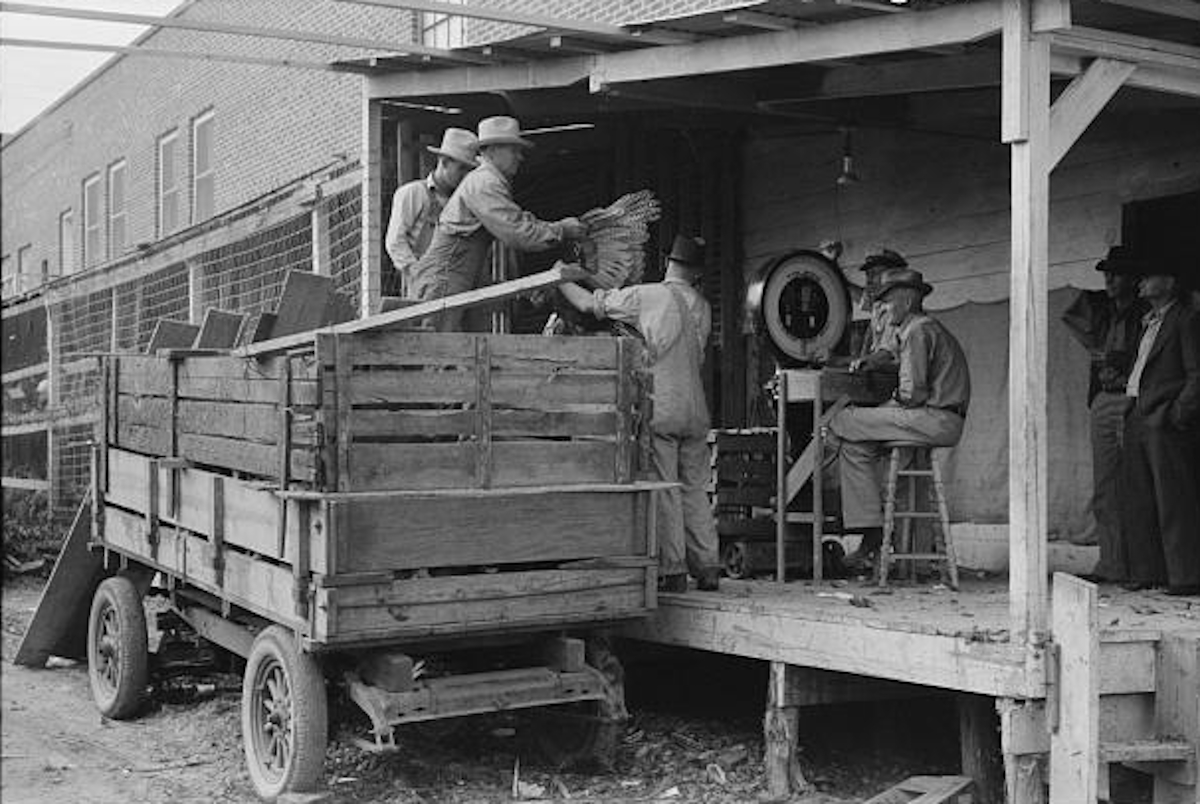 Unloading Turkeys in Brownwood in 1939