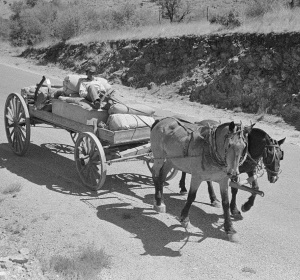 Cowboy Reclines in Wagon on Highway to Marfa