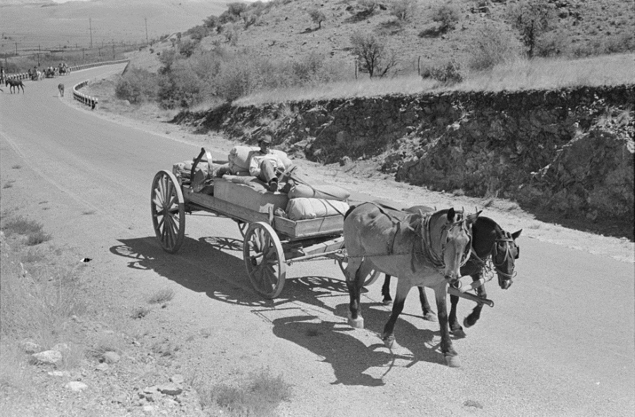 Cowboy Reclines in Wagon on Highway to Marfa
