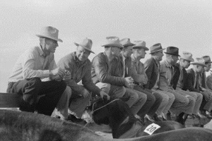 Horesmen sitting on fence Eldorado, Tx 1939