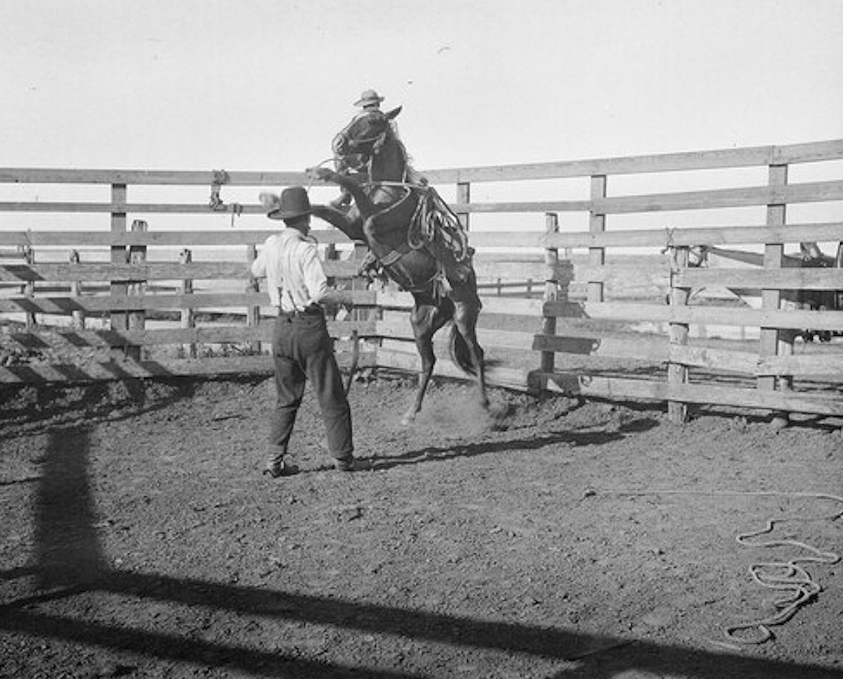 Working an Outlaw Horse