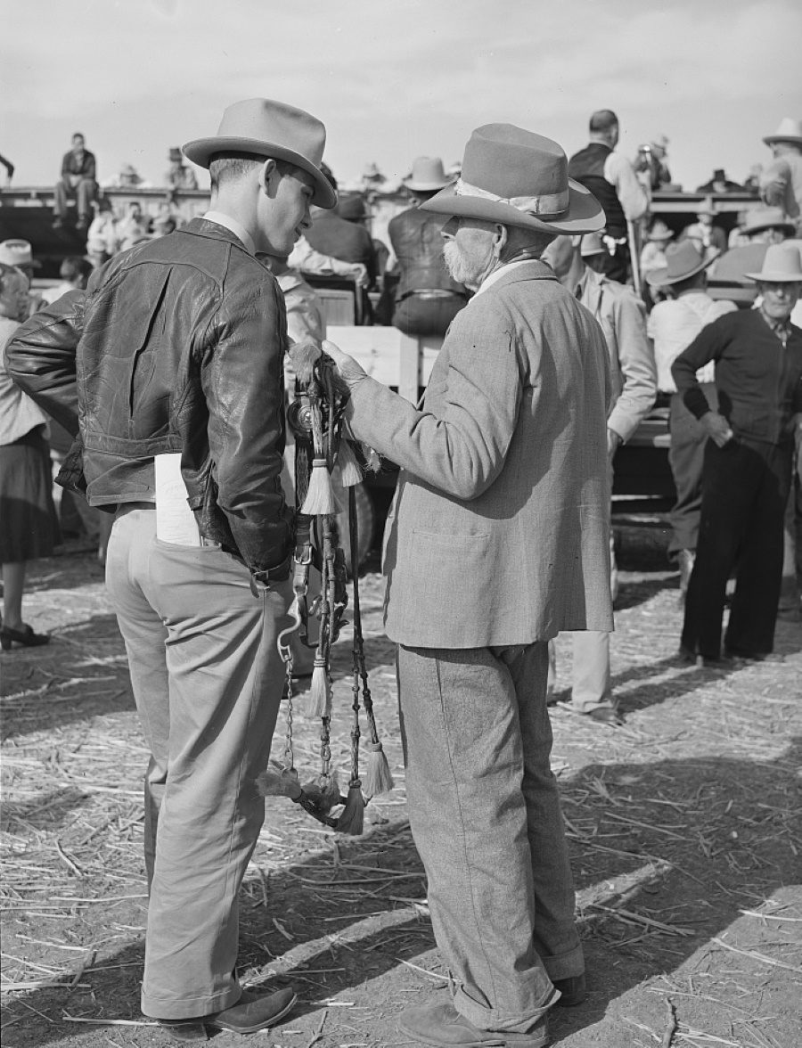 Young Horse Trader Gets Advice from Old Timer