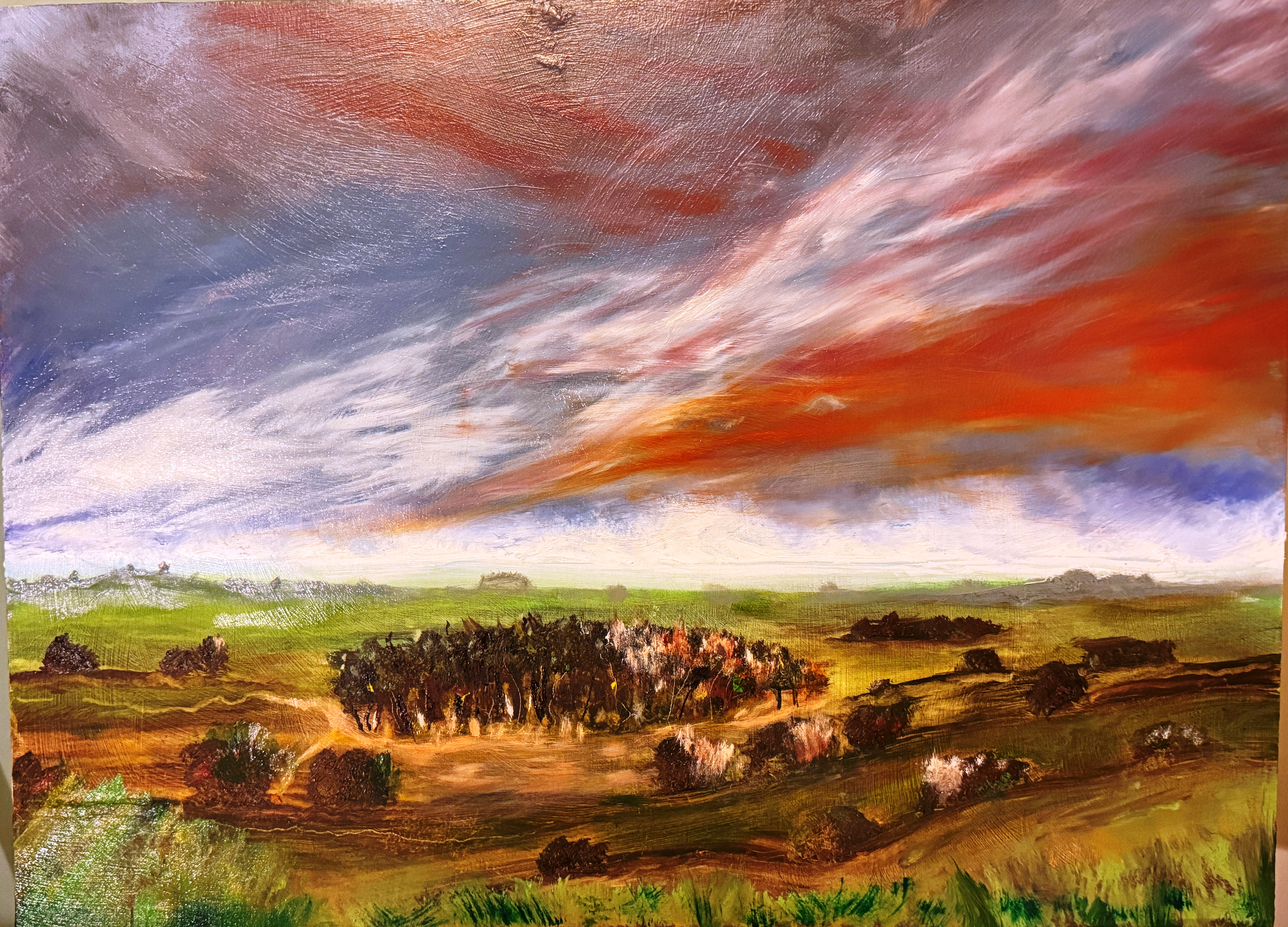 england 2024 enlarged