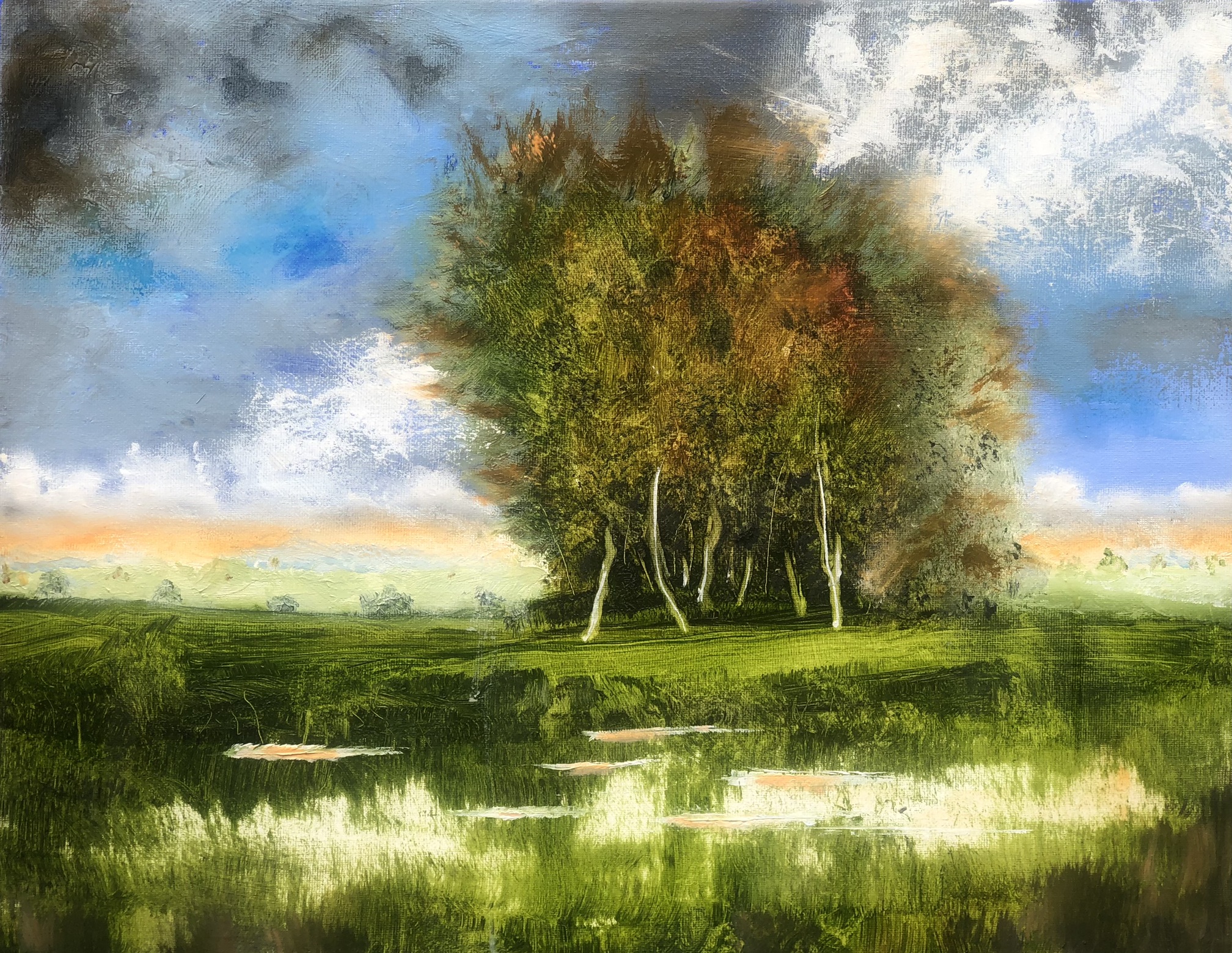 Trees and water enlarged