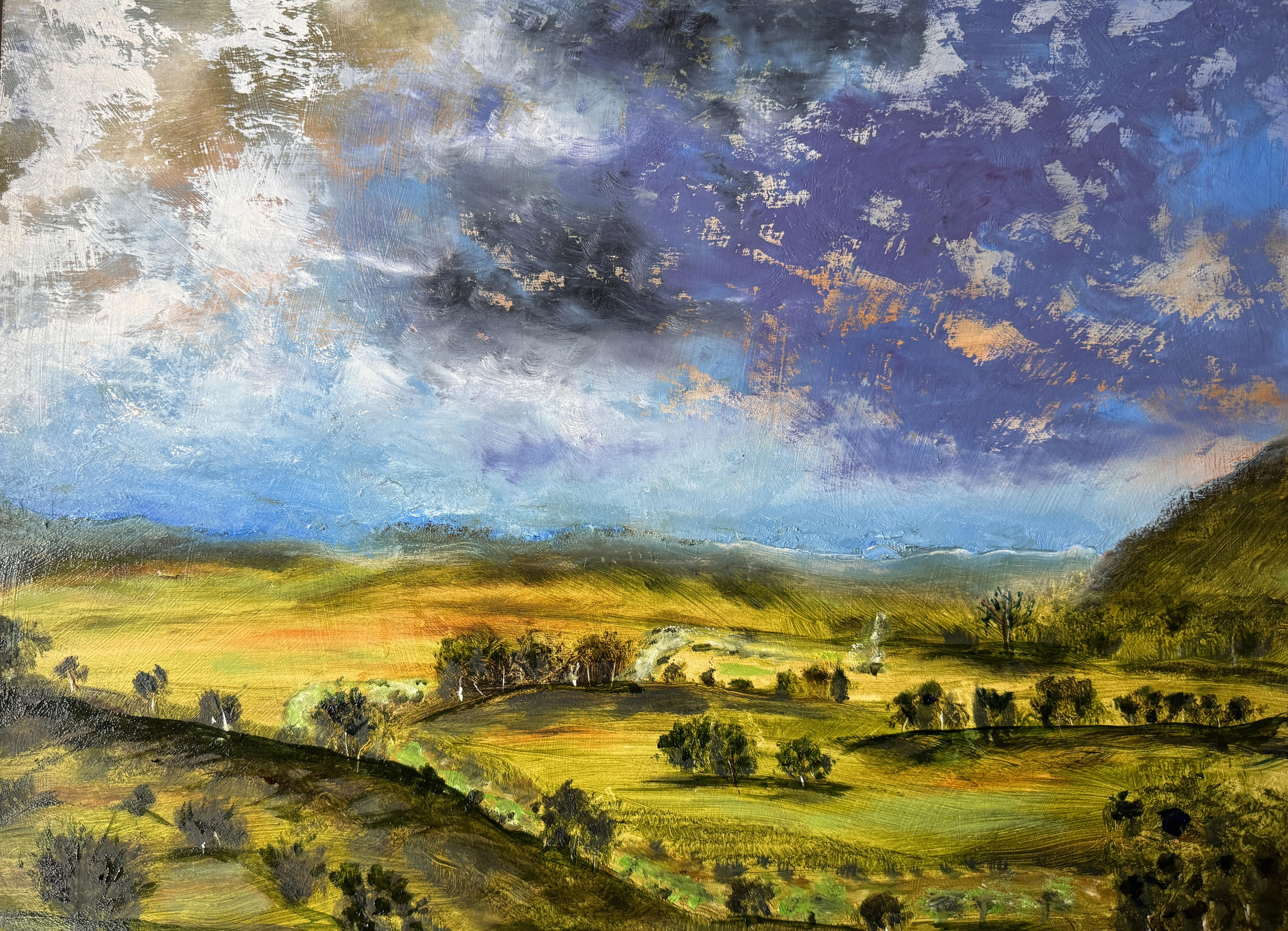 enlaargement of irish landscape